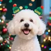Nuevo Sombrero de Navidad para Mascotas Clip de Gorro de Navidad de Reno Gato y Perro Lindos Decoraciones para Fiesta de Navidad