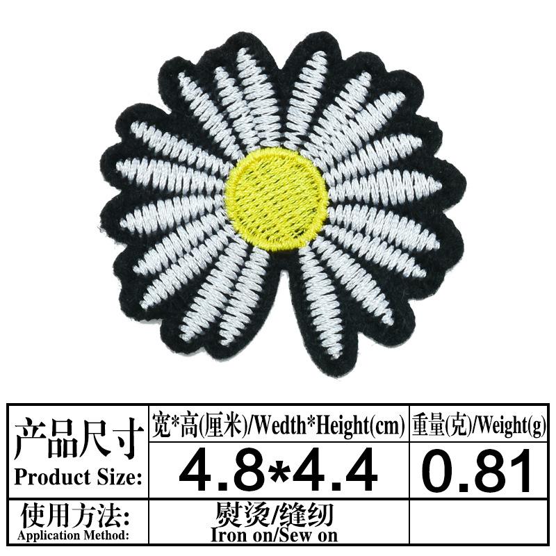 29.jpg