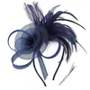 Diadema Caliente Transfronteriza Malla Pluma Tocado Retro Elegante Diadema Versátil Accesorios para el Cabello Fiesta Actuación Flor para el Cabello