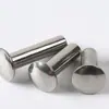 Rebite Semi-Oco de Cabeça Redonda Plana Gb873 Aço Inoxidável 304 1.5-10
