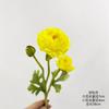 Simulación de flor de peonía extranjera camelia botón de oro rocío de loto peonía occidental adornos de decoración del hogar suministro transfronterizo de comercio electrónico