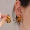 Pendientes de Acero Inoxidable Estilo Coreano Simples y Frescos Pendientes Versátiles de Nicho de Resina de Gota de Agua Colorida Pendientes de Acero de Titanio para Mujer Cristal Transparente