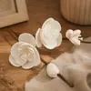 Flores de Aromaterapia sin Llama Personalizables, Flores de Hierba, Ramas, Ratán, Flores Secas Absorbentes de Aceite, Flores de Hierba, Exportación Transfronteriza, Exclusivamente para Ramos