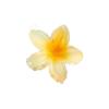 Plumeria Pinza Grande para el Cabello 2024 Nueva Pinza para el Cabello Parte Trasera de la Cabeza Flor Pinza de Tiburón de Alta Gama Accesorios para el Cabello de Playa