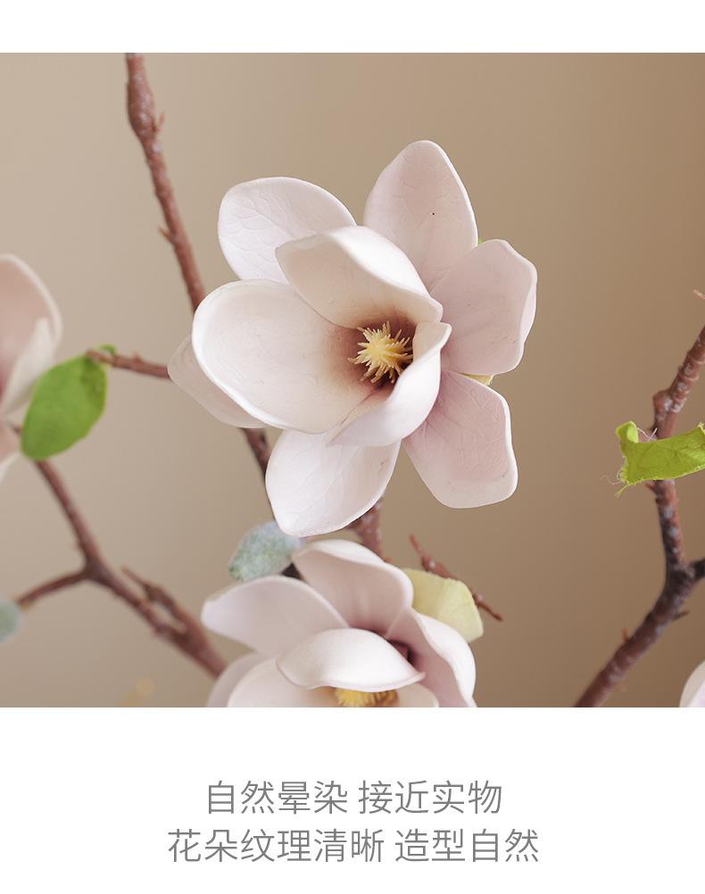 唯爱小玉兰_12.jpg