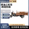 Producto popular de importación transfronteriza: motocicleta de tres ruedas propulsada por combustible, triciclo, vehículo de carga a gasolina para uso agrícola y doméstico con alta capacidad de carga