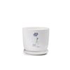 Maceta de Cerámica Estilo Crema Planta Maceta para el Hogar Exquisita Blanca Lujo Accesible Creativa Orquídea Suculenta Planta Verde
