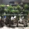Alta Imitação Nórdica Sangue de Dragão Ferro Madeira Milenar Árvore de Bambu Dragão Árvore de Ferro Planta de Simulação Planta para Sala de Estar Hotel