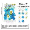 Marcapáginas de flores secas especímenes colección de primavera en botella de película plástica materiales hechos a mano para manualidades estudiantes de primaria flores transparentes