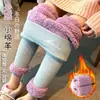 Leggings gruesos de felpa de nube para mujer, adecuados para usar al aire libre en invierno, de cintura alta con estampado de letras, hechos de vellón de cordero del noreste, extra gruesos y cálidos, disponibles para venta al por mayor