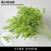 Plantas Verdes, Hierba de Junco, Hierba Bigote de Dragón, Fondo de Boda, Paisajismo de Ventana Floral, Flores Decorativas para Boda en Bosque Blanco y Verde