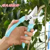 Tijeras de jardinería, tijeras de podar, tijeras para recolectar fruta, cortasetos, tijeras de jardín, cortadores de ramas de fruta, tijeras para fruta, venta al por mayor del fabricante