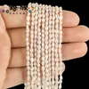 Pérolas barrocas polidas em ambos os lados de 2-3mm/3-3.5mm com furos horizontais e verticais, acessórios para joias DIY e itens decorativos