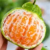 Mandarinas Yunnan Fuyu 5kg Fruta Fresca de Temporada Caja Entera Envío Gratis Venta Directa