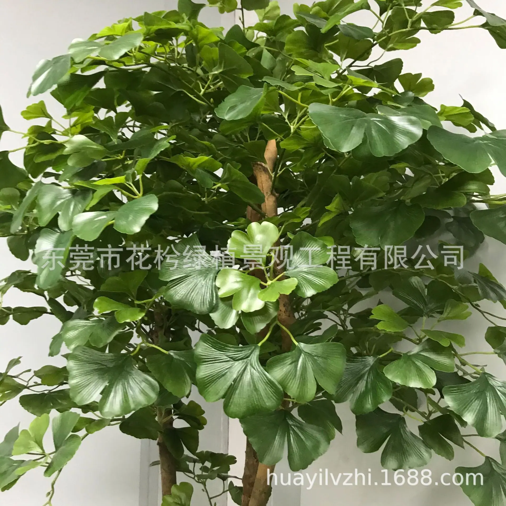 微信图片_202105280944526