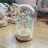 Árvore de Cristal Natural, Flor Eterna, Enfeites de Mesa, Árvore de Dinheiro de Cristal, Garrafa dos Desejos, Árvore de Dinheiro, Artesanato de Cristal Atacado