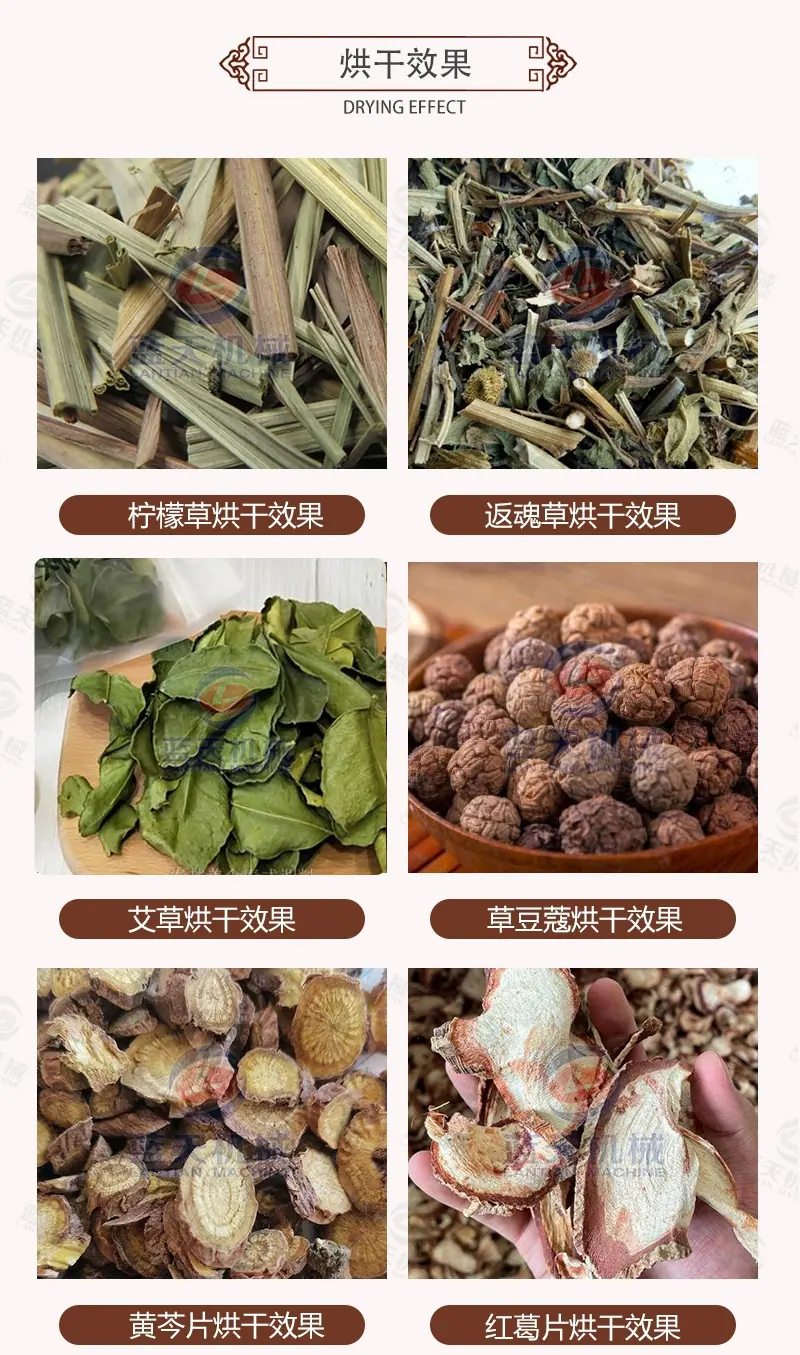 xiaog.jpg