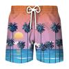 Pantalones de playa deportivos de ocio para hombre, venta al por mayor, impresión digital 3D, para vacaciones de verano en la playa, 2023