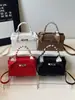 Bolsas Pequenas da Moda com Padrão de Lichia para Mulheres Este Ano, Novas Bolsas Retro da Moda 2025, Bolsas Transversais Simples para o Dia a Dia