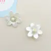Pétalos de Flor de Perla Transparente Mariposa Accesorios de Joyería DIY Zapatos con Agujeros Decoración de Flor para Zapatos Accesorios Listos para la Venta