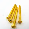 Tornillos Dorados, Tornillos para Máquina de Cabeza Redonda Dorada por Electroforesis, Tornillos para Iluminación de Cabeza Plana Chapados en Cobre M3M4M5 Venta al por Mayor
