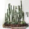 Cacto Artificial em Vaso Grande Planta Falsa Planta Verde Falsa Nórdica Pilar de Fada Cena Interna Decoração de Janela Enfeites
