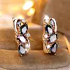 Transmisión en Vivo Transfronteriza Más Vendidos Aretes de Imitación Color Dorado Champagne con Borde Multicolor Completo Incrustados con Diamantes Blancos Estilo Nicho de Moda para Mujer