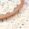 Botões de Concha Naturais, Botões de Dois Furos de Alta Qualidade para Camisas, Suéteres, Tricô, Ternos, Casacos e Acessórios de Vestuário