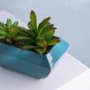 Fornecimento direto da fábrica flor artificial personalizada mini planta suculenta com bacia quadrado azul personalidade luxo leve decorações para casa