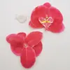 Cabeza de Flor de Orquídea Mariposa de Seda Flor Artificial Decoración del Hogar Escena de Boda Peineta Peineta Flor Flor Artificial Comercio Exterior Mayorista