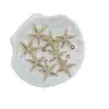 Estrella de Mar Dorada Perlada de ABS Estampada con Estrella Adorno Colgante para Coche Cadena de Teléfono Pulsera DIY Accesorios de Cuentas Venta al por Mayor para Transmisión en Vivo