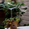Riego automático de flores con temporizador para plantas verdes y pájaros en macetas.