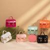 2023 Nuevo Bolso de Gelatina de PVC para Mujer bolsos de mujer Comercio Exterior Sudeste Asiático Bolso Pequeño Bolso Cambridge de Gelatina para Mujer