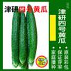 Semillas de Verduras para Todas las Estaciones, Adecuadas para Cultivo en Macetas en Balcones y Jardines, Incluyendo Pimientos, Melones Dulces, Pepinos y Semillas de Otoño Fáciles de Cultivar, Como Cebollas Pequeñas Aromáticas