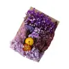 Bolsa de Souvenir Personalizada con Flores Secas Mixtas Marco de Fotos DIY Hecho a Mano Ventilador Bolsa de Materiales de Flores Inmortales Naturales Evento de Calentamiento