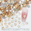 Estrella de Mar de 5 mm Zapatos Planos Populares Fondo Plano Joyería de Diamantes para Uñas Colorida Forma Especial Pentagonal Gruesa Uñas Portátiles Diamantes Venta al por Mayor