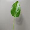 Ingeniería material de hoja a juego al por mayor simulación mano simulación planta verde arreglo floral hoja de plátano planta verde decoración de pared hoja dorso de tortuga