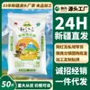 Farinha Qitai de Xinjiang 25kg Farinha de Trigo Snowflake de Alto Glúten, Farinha do Miolo de Trigo, Venda Direta do Fabricante, Compra em Grupo e Atacado