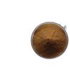 Extracto de Sophora Japonica 10:1 Polvo Soluble en Agua Materia Prima Grado Alimenticio Extracto de Planta Polvo Medicinal y Comestible en Stock con Envío Gratis