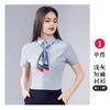 Camisas para Mulheres, Manga Curta, Roupas de Verão para Mulheres, Trajes de Negócios Masculinos e Femininos, Camisas Femininas, Roupas de Trabalho para o Dia a Dia, Roupas de Trabalho Sem Ferro, Traje Formal