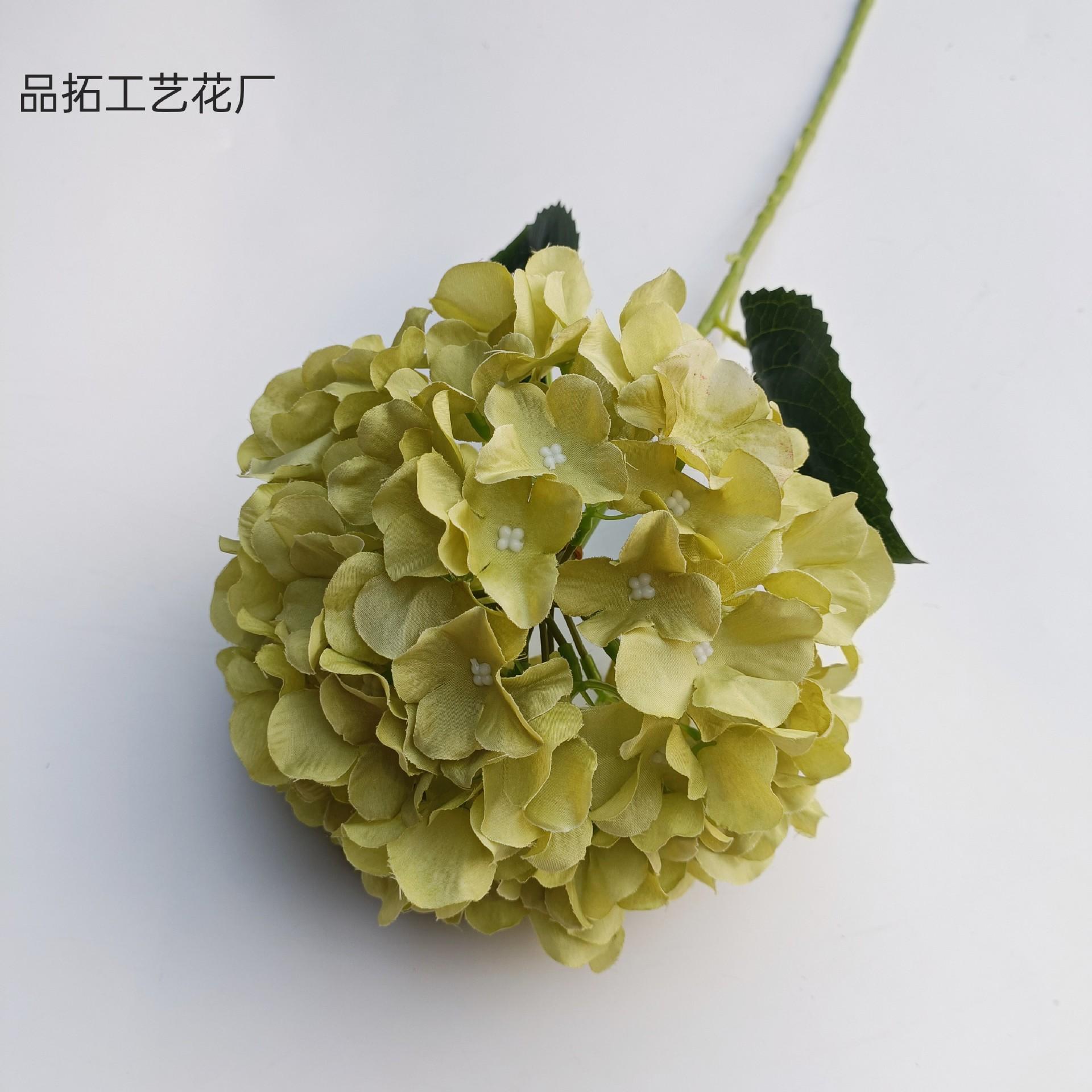 83a433a167e996f9d64c52ca8a9979