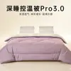 Colcha Nanji Ren Colcha de Invierno Engrosada Cálida Cuatro Estaciones Núcleo de Algodón Colcha de Primavera y Otoño Dormitorio Persona Sola Colcha de Aire Acondicionado Lavable a Máquina