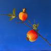 Vendas diretas da fábrica simulação de duas cabeças romã fruta anual flor vendas DIY arranjo de flores de ano novo material balde de abraço de natal balde de bênção