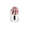 Instrumento de vapor facial con pulverizador caliente de comercio exterior, instrumento hidratante doméstico, pulverizador facial de calor y frío, instrumento de belleza, atomizador de humidificación, vapor facial