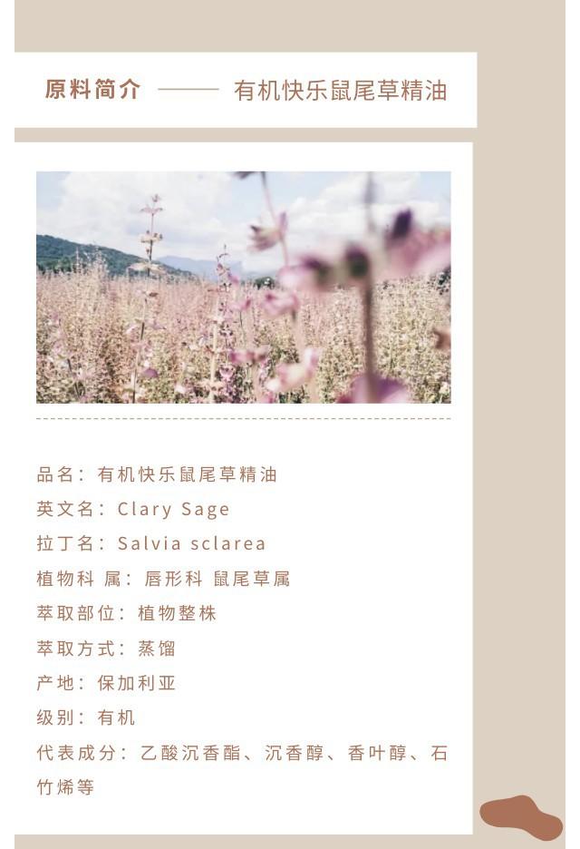 快乐鼠尾草精油.jpg
