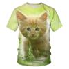 2024 verano nuevo animal lindo patrón de gato impresión digital 3D tendencia de moda cuello redondo camiseta para hombre y mujer