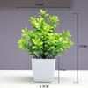 Venda quente transfronteiriça Simulação de planta Planta falsa Planta verde Decoração interna e externa Simulação de eucalipto em vaso de plástico Planta pequena em vaso