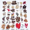 Fruta Fixa Natural Planta Fruta Casca Espécime Material Decoração Flores Secas Fatias Jardim de Infância DIY Pacote de Material de Natal