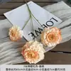 Carpa Pez de 3 Cabezas Peonía Venta al por Mayor Guía de Camino de Boda Arreglo Floral Hotel Hogar Decoración Suave Flores Falsas Flores Artificiales Exportación Transfronteriza