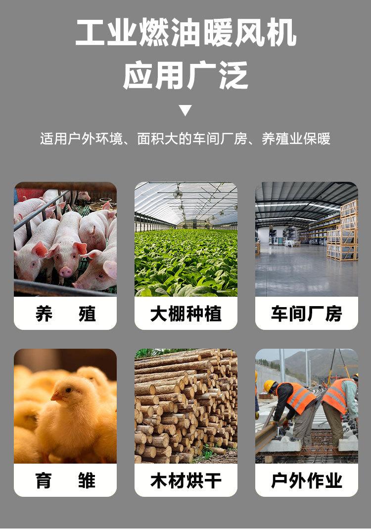 详情页_08.jpg